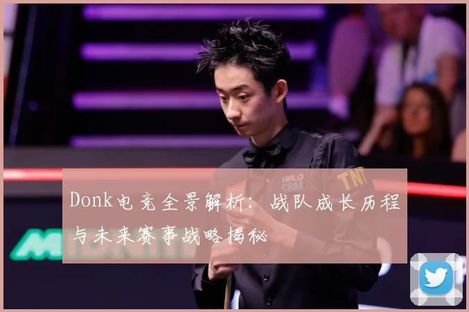 Donk电竞全景解析：战队成长历程与未来赛事战略揭秘